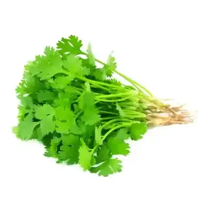 Coriander Seed